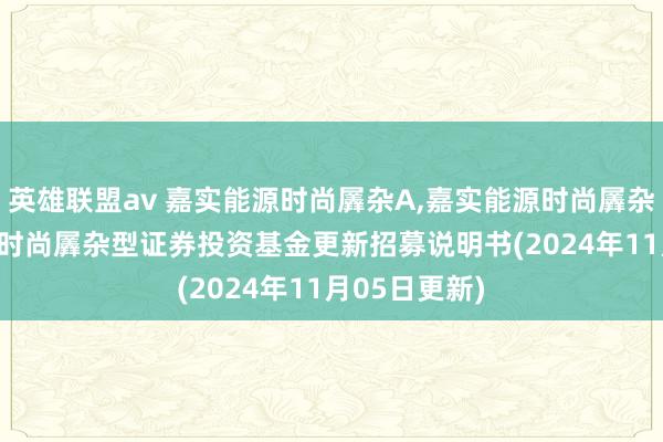 英雄联盟av 嘉实能源时尚羼杂A,嘉实能源时尚羼杂C: 嘉实能源时尚羼杂型证券投资基金更新招募说明书(2024年11月05日更新)