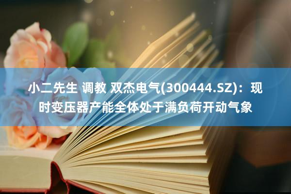 小二先生 调教 双杰电气(300444.SZ)：现时变压器产能全体处于满负荷开动气象