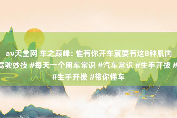 av天堂网 车之巅峰: 惟有你开车就要有这8种肌肉挂牵！#驾驶妙技 #每天一个用车常识 #汽车常识 #生手开拔 #带你懂车