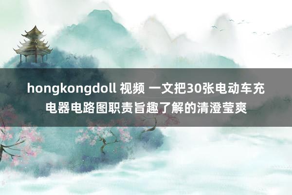 hongkongdoll 视频 一文把30张电动车充电器电路图职责旨趣了解的清澄莹爽