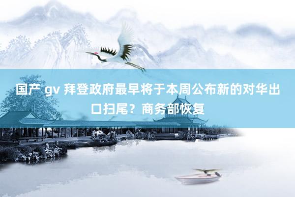 国产 gv 拜登政府最早将于本周公布新的对华出口扫尾？商务部恢复