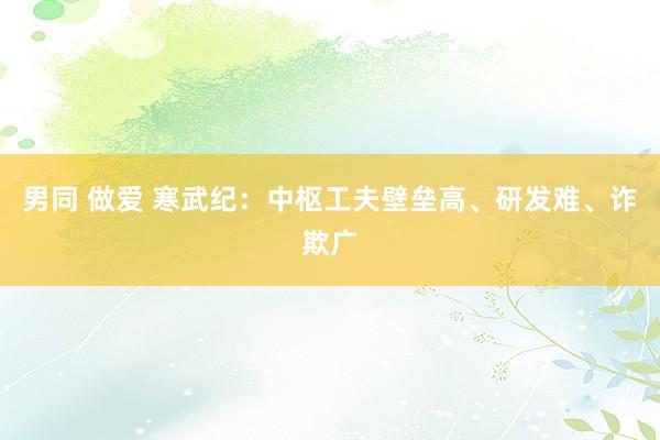 男同 做爱 寒武纪：中枢工夫壁垒高、研发难、诈欺广