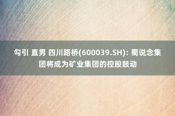 勾引 直男 四川路桥(600039.SH): 蜀说念集团将成为矿业集团的控股鼓动