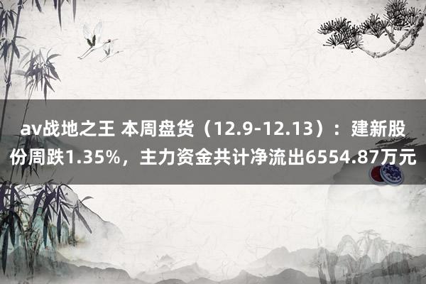 av战地之王 本周盘货（12.9-12.13）：建新股份周跌1.35%，主力资金共计净流出6554.87万元