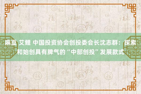 麻豆 艾鲤 中国投资协会创投委会长沈志群：探索和始创具有脾气的“中部创投”发展款式