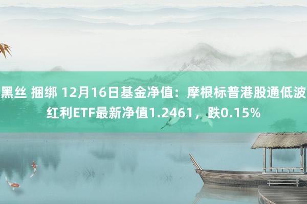 黑丝 捆绑 12月16日基金净值：摩根标普港股通低波红利ETF最新净值1.2461，跌0.15%