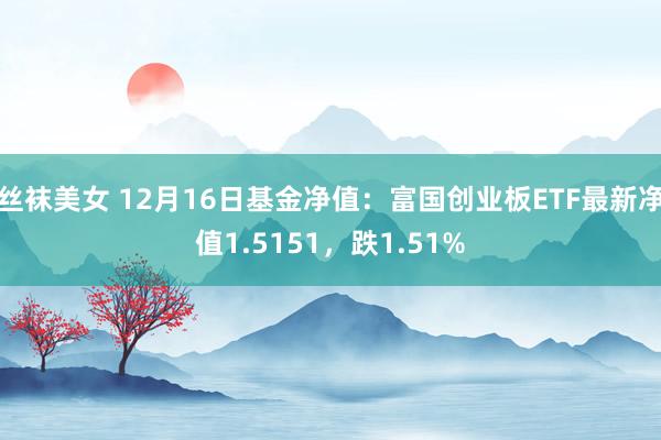 丝袜美女 12月16日基金净值：富国创业板ETF最新净值1.5151，跌1.51%