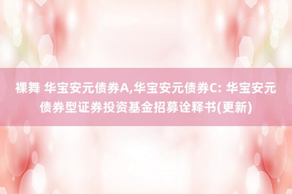 裸舞 华宝安元债券A，华宝安元债券C: 华宝安元债券型证券投资基金招募诠释书(更新)