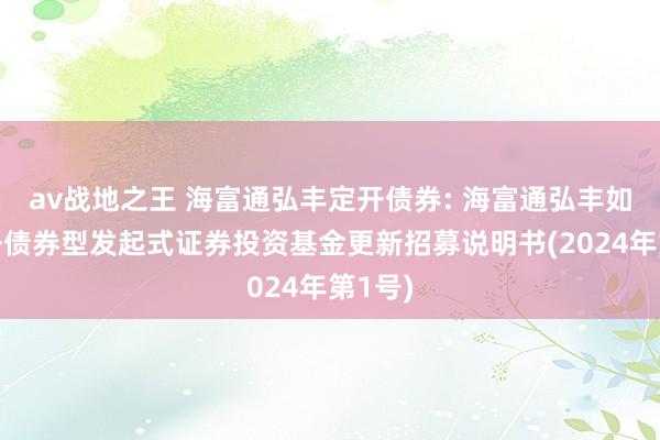 av战地之王 海富通弘丰定开债券: 海富通弘丰如期绽开债券型发起式证券投资基金更新招募说明书(2024年第1号)