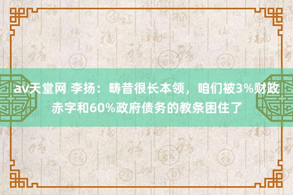av天堂网 李扬：畴昔很长本领，咱们被3%财政赤字和60%政府债务的教条困住了