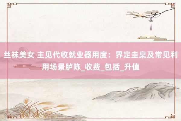 丝袜美女 主见代收就业器用度：界定圭臬及常见利用场景胪陈_收费_包括_升值