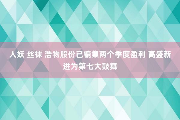 人妖 丝袜 浩物股份已辘集两个季度盈利 高盛新进为第七大鼓舞